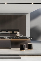 �Ҙ��Ҿ��ʽzϵ��